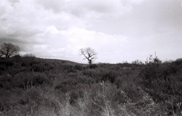 06-aai.jpg