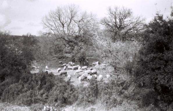 07-aaj.jpg