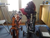vsdahon1.jpg